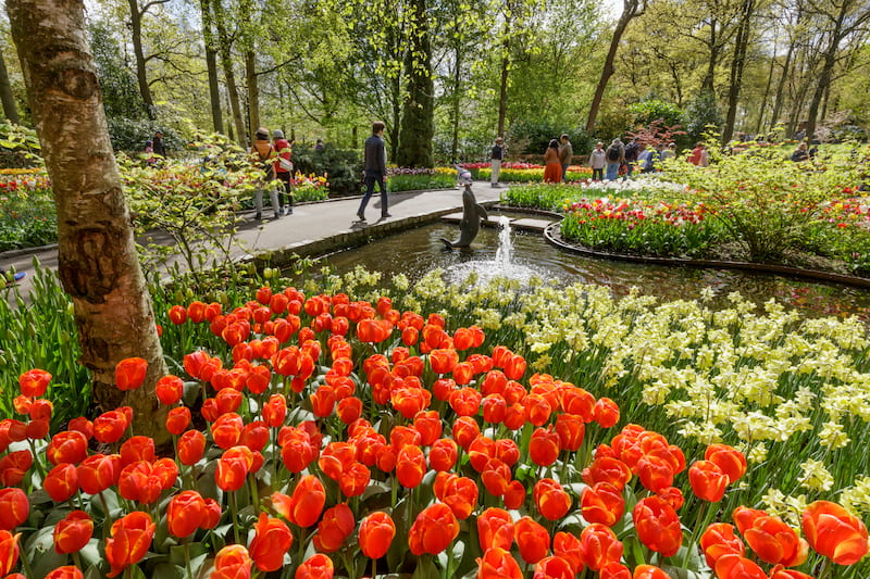 Keukenhof